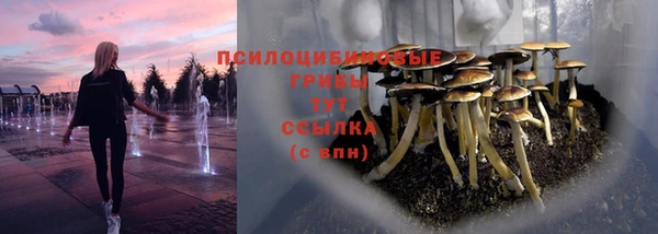 а пвп мука Заводоуковск