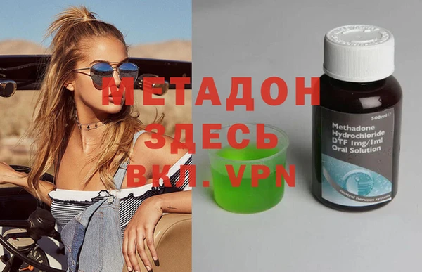 сатива Ельня