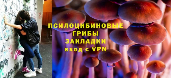 а пвп мука Заводоуковск