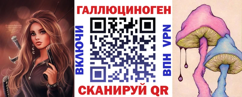 Галлюциногенные грибы Psilocybe  Заозёрный 